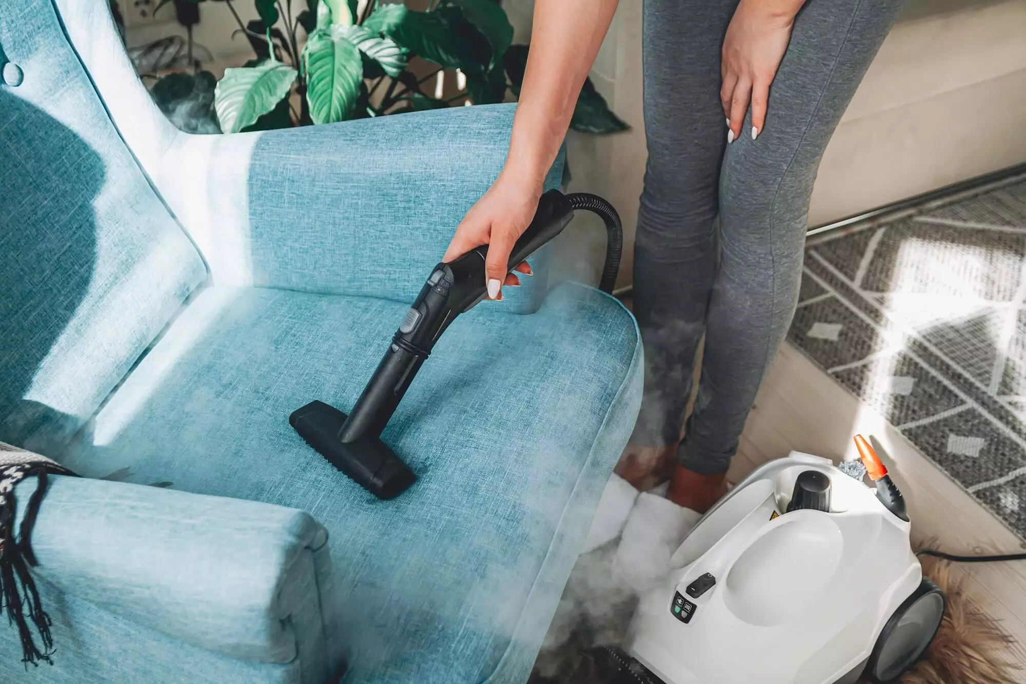 Hand cleaning a armchair with steam cleaner, Home cleaning conce